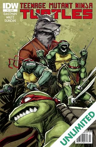 Teenage Mutant Ninja Turtles #2